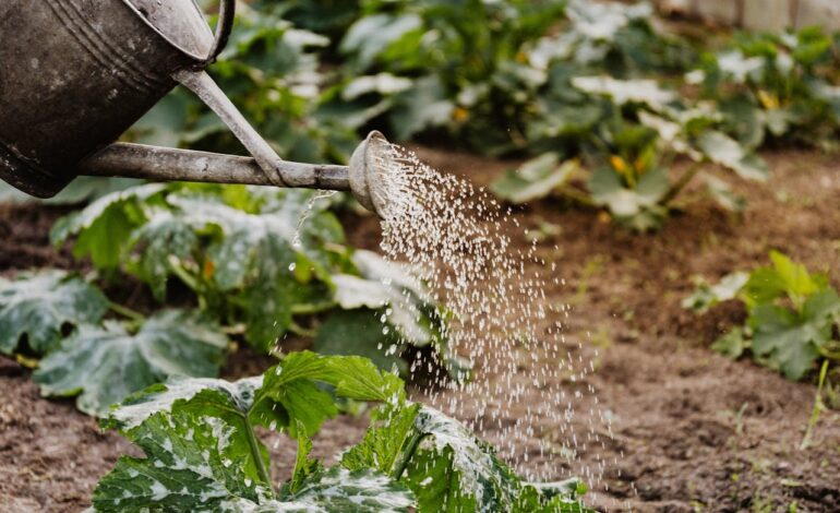 Decreto autoriza Seleção simplificada com 8 vagas para o Departamento de Produção Penitenciária da SEAP